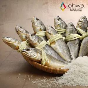 법성포 영광함초굴비 중장대 20미/60g내외/2팩