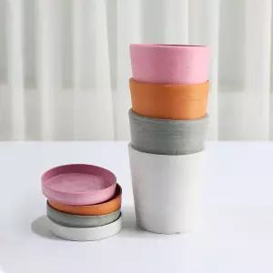 갑조네 바소 심플 플라스틱화분