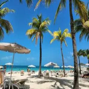 [BEST][부산] 방콕/파타야 왓 포, 알카쟈쇼, 코끼리트레킹, 산호섬, 마사지 1시간 5/6일