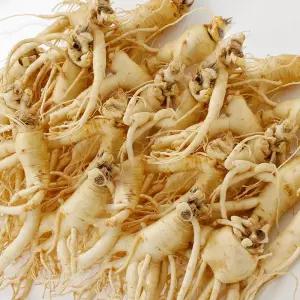 백년청우 풍기인삼 6년근 세척 난발삼 20~22뿌리내외 750g