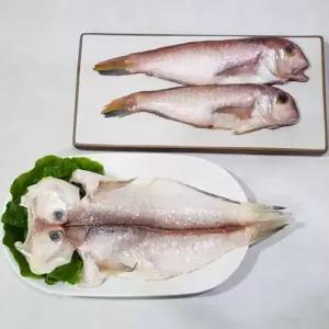 반건조 제주 옥돔 3미