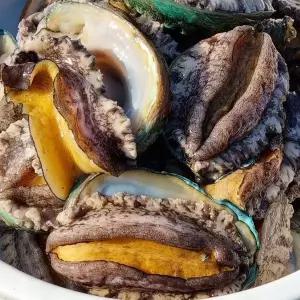 완도 활 꼬마전복 1kg 30-40미 산소포장