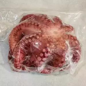 자숙 문어 1미 소