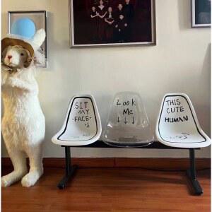 버스정류장 의자 야외 야구장 벤치 카페 플라스틱의자 공원 야외용