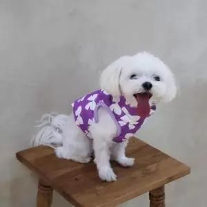 [라일리여성의류] Rly 강아지옷 아우터 리본 하네스 패딩조끼 외출복 반