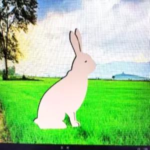 DCentral 래빗 유연한 비닐 안전 스크린 자석 양면. 낮과 밤에 보기 쉬운 흰색. 장식용. 화면에 들어오는