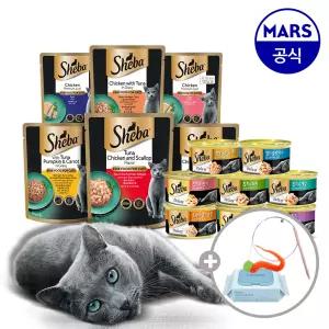 [혼합] 쉬바 캔 12개+파우치 12개 골라담기+고양이낚시대+베베숲물티슈