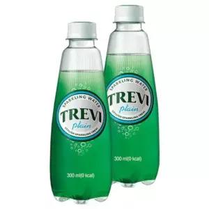 롯데 트레비 플레인 300ml x 20PET