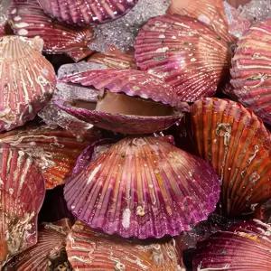 이벤트 통영 활 홍가리비 1kg 30마리