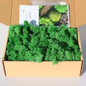 모나코플라워 스텔라 모스이끼(0615 봄그린) 200g