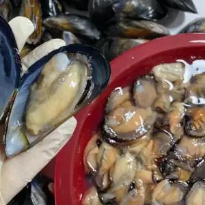 싱싱한 손질 깐 홍합살 500g 2팩