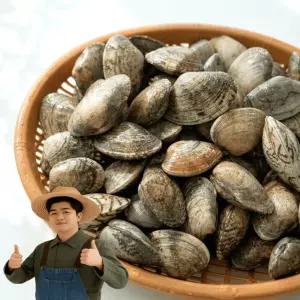 천유작 국산 남해안 활 깐 바지락살, 250g/1kg