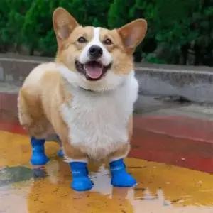 [반려] 실리콘 반려동물 레인부츠 논슬립 외출 XL 소프트