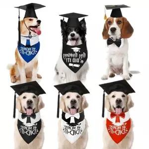 강아지 퍼피스쿨 스카프 졸업가운 모자세트 모자 세트 테마의상 모자 스카프_24850754