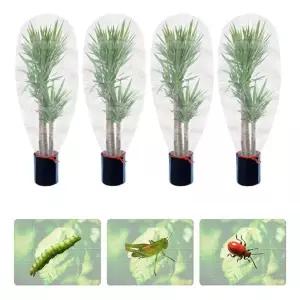 식물 방충망 대형 방충백 덮개 방조망 원예