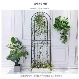 아치형 울타리 정원 조경 덩굴 마당 거치대 가든