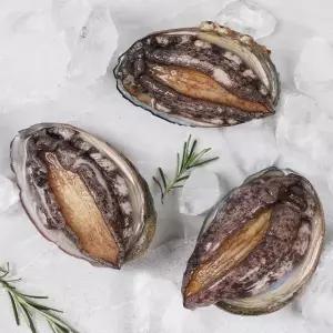 [산지직송]중사이즈 완도 활전복 500g (8-9미)