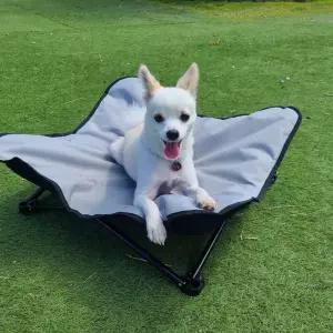 애견 캠핑 체어 강아지 침대 야외 피크닉 용품 의자 반려캠프