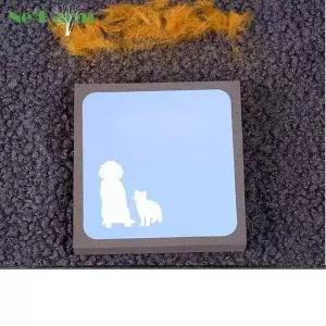 [JH97R3T7_52CM]냥이댕댕이 털제거 깔끄미 털지우개 1P (31381059A)