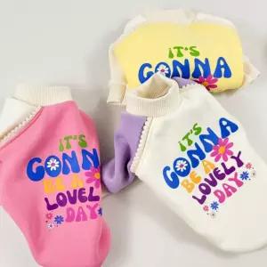 코코아허니 B15E뜨끈폼맨투맨강아지캐주얼티 애견 반려셔츠 겨울 댕댕이셔츠 강아지옷 애옷 예쁜