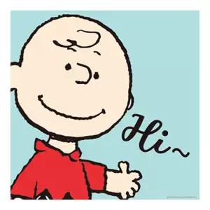 피너츠 HELLO시리즈 하이 찰리 브라운 보석십자수 미니이젤 20x20cm