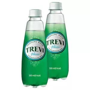 롯데 트레비 플레인 300ml x 20탄산수 탄산 자몽