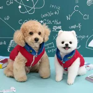 스누피 입히기 쉬운 강아지 겨울 옷 3초 경량 패딩조끼 하네스 아우터 중형견 점퍼