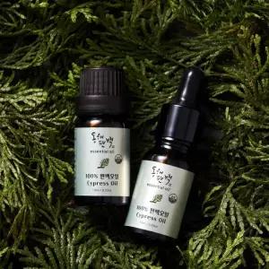 동해 편백 오일 30ml 탈취 방향 수 제습 잎피톤치드 나무