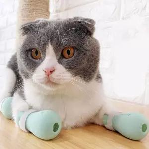 목욕싸게 치료용 상처방지 반려묘 발보호캡고양이톱손질 강아지관리 관리 견가위 깎이 깍기 강아지