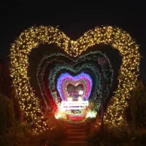 Jdt 100구 녹색선 LED 지니전구 10M 점멸 웜색 크리스마스트리전구 조명 장식 릴레이 반짝이