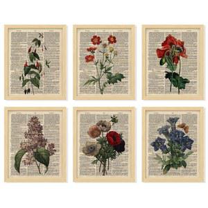 97 데코 플로럴 빈티지 월 아트 프린트 - 앤티크 식물성 아트, 플라워 북 데코, 업사이클링 사전 포스터, 침실 홈 데코를 위한 야생화 그림 (프레임 없음 8x10)