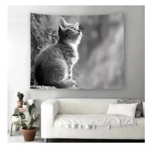 특대 아기냥이 패브릭 포스터 가림막 커튼 가리개 커바란스커텐 가리개천 천가림막 가림막천 천가리개 주방