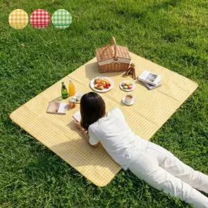 체크패턴 캠핑 나들이 피크닉매트 100x150cm 접이식 파우치형 방수매트 소형 돗자리