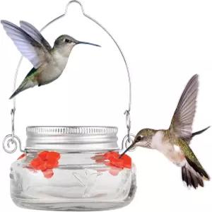 네이처스 웨이 버드 프로덕츠 MJF1 메이슨 병 벌새 접시 공급기 클리어