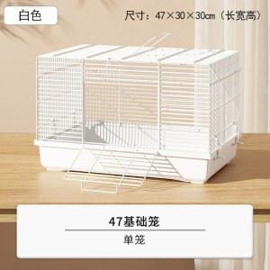 다람쥐 사육장 케이지 이층 키우기 햄스터 릴 하늘 화이트 피그미다람쥐 고슴도치