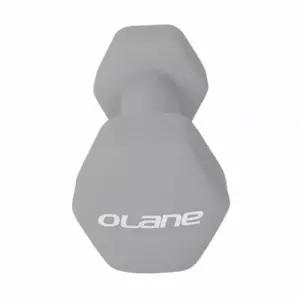 네오프렌 아령 2KG 그레이 홈짐 헬스장근력운동 고무 덤벨 헬스 컬러 칼라 튼튼한 홈트 여자 여성용