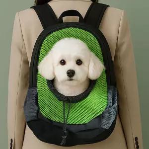 메쉬 환기 백팩 애견고양이용 펫배낭애완동물캐리어백 외출 여행가방 쉬백 휴대용베 산책 소형견 투명창백