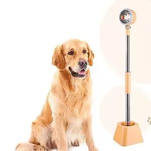 애완견 드라이기 거치대 스탠드 고정 미용 용품 펫헤어 털건조 프리미엄애견 목욕 홀더 관리 스탠드형 반려