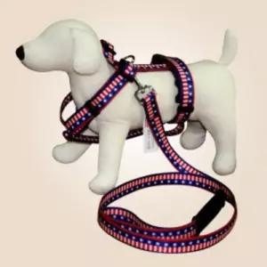 쏘아베 대형견 가슴줄 세트 USA애완동물 반려 가슴 강아지