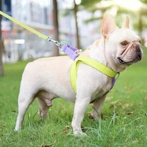 LD-1363 레인보우하네스애견몸통줄 컬러 노랑 보라색 편안한 부드러운 반려견 강아지 리드세트 가슴