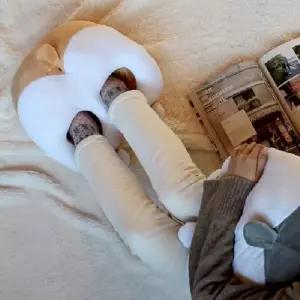 시바궁둥이 온열 USB 발난로 쿠션로 사무실로 히팅패드 미니 발기 히터 실기 책상 전기로 난로