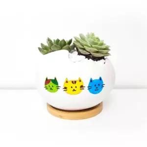 달걀모양 다육이 컬러링 화분 DIY키트 식물다육이키우기 미니 키우기 만들기 어린이집교구 이키우기