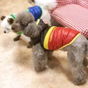 강아지 패딩 모자 세트 입기 편한 옷 10초 조끼 반려동물 패션 겨울 펫조끼 점퍼