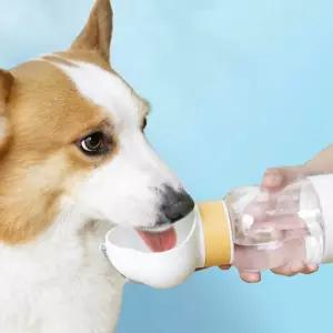 강아지물병 애견사료통 식수대 간식 물그릇