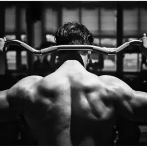 sh) 헬스 역도 바벨 역기봉 운동 스타 컬바 홈트레이닝