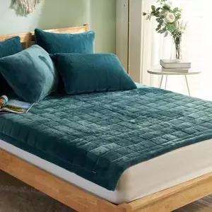 TBZ 블레스 10mm 장모 라셀 극세사 침대패드 SS 그린