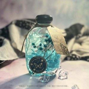 워터플랜트 워터볼 쇼핑백 카드세트 플랜테리어 화병 시들지않는꽃