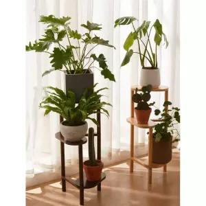 원목 화분정리대 거실 다육이 식물 화분랙 월넷 코너 B형