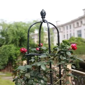 장미 넝쿨 아치 덩굴 펜스 클레마티스 엔틱 울타리