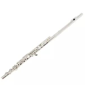 입문 플루트 폐공 폐쇄형 초급연주 취미 악기 연습용